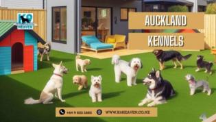 Dog Kennels Auckland